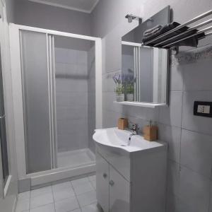 Castellino TanaroPeter Pan的带淋浴和盥洗盆的白色浴室