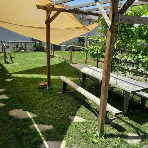 Castellino TanaroPeter Pan的草上野餐桌和雨伞