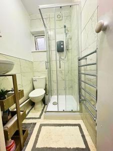 莱斯特Opal Apartment的带淋浴和卫生间的浴室