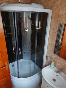 特尔古奥克纳Popas Turistic Terasa Europa的带淋浴、卫生间和盥洗盆的浴室