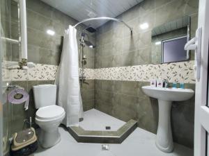 茨卡尔图博Hotel N的一间带卫生间和水槽的浴室