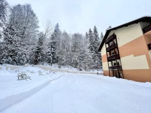 普雷代亚尔Agi’s Apartment Predeal的建筑物前的一条有雪覆盖的道路