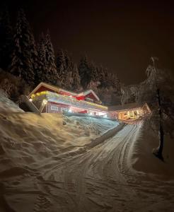 利勒哈默尔All inclusive villa的雪中滑雪小屋