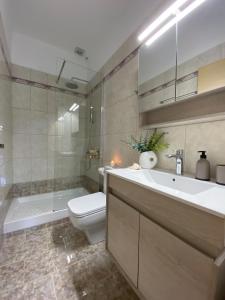 马塔拉Maistro Suites with pool, Matala的一间带水槽、卫生间和淋浴的浴室