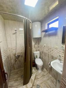 梅斯蒂亚ELISO'S GUESTHOUSE的带淋浴、卫生间和盥洗盆的浴室