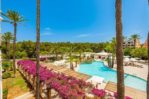 萨科马Hotel Rosella affiliated by Intelier的享有棕榈树和紫色鲜花的度假游泳池的景色