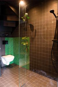 莱茵河畔阿尔芬Bijzonder stadshuis met diepe moderne tuin.的一间带卫生间和玻璃淋浴间的浴室