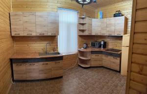 Садиба Дністер Ленд的一个带木制橱柜和水槽的厨房