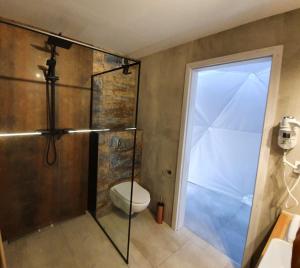 博尔斯克Podniebny Glamping的带淋浴、卫生间和玻璃门的浴室
