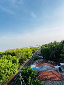 阿鲁甘湾The Amora的城市街道树木的顶部景色