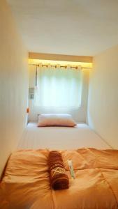 布罗莫Bromo Dormitory & Camp的一间卧室配有一张带毯子的床和窗户