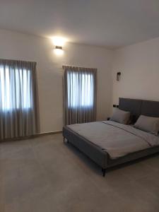贝特谢安בית דירות - בית אורן的一间卧室设有一张大床和两个窗户。