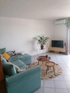 弗龙蒂尼昂Appart' cosy climatisé à 10' des plages et de Sète的客厅配有蓝色的沙发和桌子