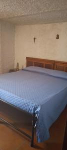 VaranoLA VECCHIA STALLA的一间卧室配有一张带蓝色棉被的床