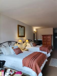 圣克里斯托瓦尔-德拉斯卡萨斯Posada Real de Chiapas的一间酒店客房,房间内设有两张床