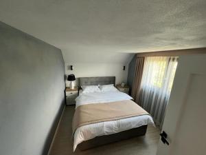 托普利察PENSIUNEA IZABELLA, Vila Cocket的一间卧室设有一张床和一个窗口