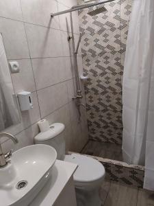 LermontovoMATEVOSYAN`S Rest House的浴室配有卫生间、盥洗盆和淋浴。