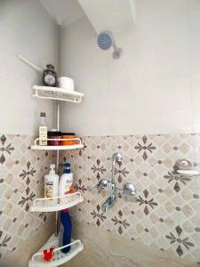 加德满都Peace Homestay的浴室配有盥洗盆和瓷砖淋浴