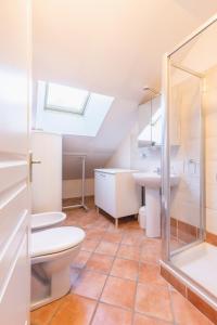 拉萨尔莱阿尔佩Chalet Clos Gauthier的浴室配有卫生间、淋浴和盥洗盆。