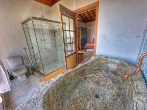 伊塔比里图Mirante do Espinhaço的一间卧室设有淋浴、一张床和一个卫生间。