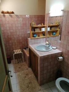 博迪昂La maison de la vigne的粉红色的瓷砖浴室设有水槽和卫生间