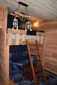 菲利普维尔La cabane aux écureuils的小木屋内的双层床,设有梯子