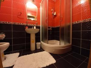 布尔奇科Venus Apartman的带淋浴、盥洗盆和卫生间的浴室