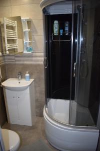 陶格夫匹尔斯Kandavas Apartments的带淋浴、卫生间和盥洗盆的浴室