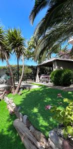 KaravómilosBay Holiday Hotel & Spa的绿色庭院,种植了棕榈树,设有长凳