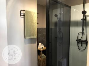 德哈恩Appartement Sealight的带淋浴的浴室和玻璃门