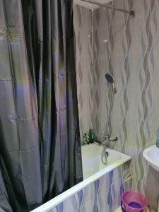 伊巴丹Chic 4 Bed bungalow Oluyole Akala express Ibadan的一个带水槽的浴室内的淋浴帘