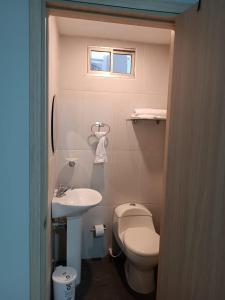 巴兰基亚Hotel Prado 53的一间带卫生间和水槽的小浴室