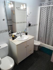苏安塞斯HABITACIONES PRIVADAS - CASA RURAL - Baño compartido con los anfitriones的一间带水槽、卫生间和淋浴的浴室