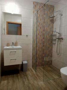 韦特利纳Wetlina Poza Trasą的带淋浴、盥洗盆和卫生间的浴室