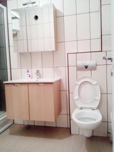 萨拉热窝Apartmani Aeredrom的一间带卫生间和水槽的小浴室
