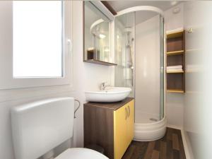 密德维亚Modern chalet with two bathrooms, 9 km south of Opatija的一间带水槽、卫生间和淋浴的浴室