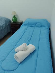 圣罗莎Lo de Bibi的一张蓝色的床,上面有一条折叠毛巾