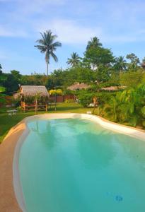 湄南海滩Samui Blue Bird的度假村前的大型游泳池