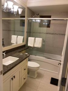 温哥华spacious modern new suite的浴室配有卫生间、淋浴和盥洗盆。