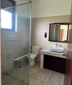 PamunugamaDriftwood Villa的带淋浴、盥洗盆和卫生间的浴室