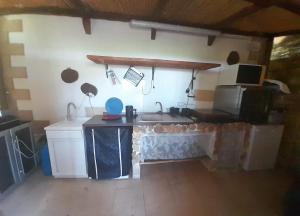 SquinzanoMasseria li Vecchi的一个带水槽和微波炉的厨房