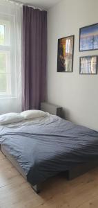 卡托维兹Rybnicka 10的卧室内的一张床铺,上面有蓝色的毯子