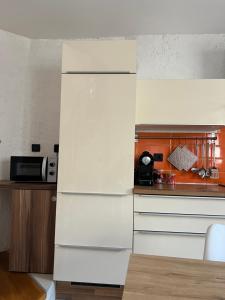 DutovljeGuesthouse 45的厨房配有白色冰箱和微波炉