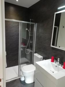 纳雅克VVF Aveyron Najac的带淋浴、卫生间和盥洗盆的浴室