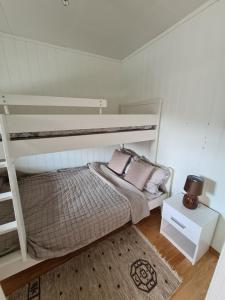 特罗姆瑟Aurora apartment in Kvaloya Tromso的卧室配有两张双层床和地毯。