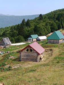 科拉欣Komovi - Montenegrina Mountain house的田野上粉红色屋顶的小房子