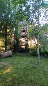 WiżajnyWynajem pokoi Burniszki的院子中间有树的房子
