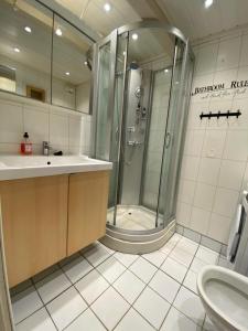 特隆赫姆Jennifers Place的带淋浴、盥洗盆和卫生间的浴室
