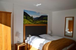 门曾施瓦德Hotel Silberfelsen的卧室配有一张挂在墙上的床铺
