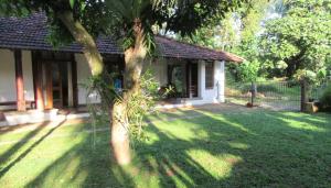 卡卢特勒Sagala Bungalow的院子里有树的房子